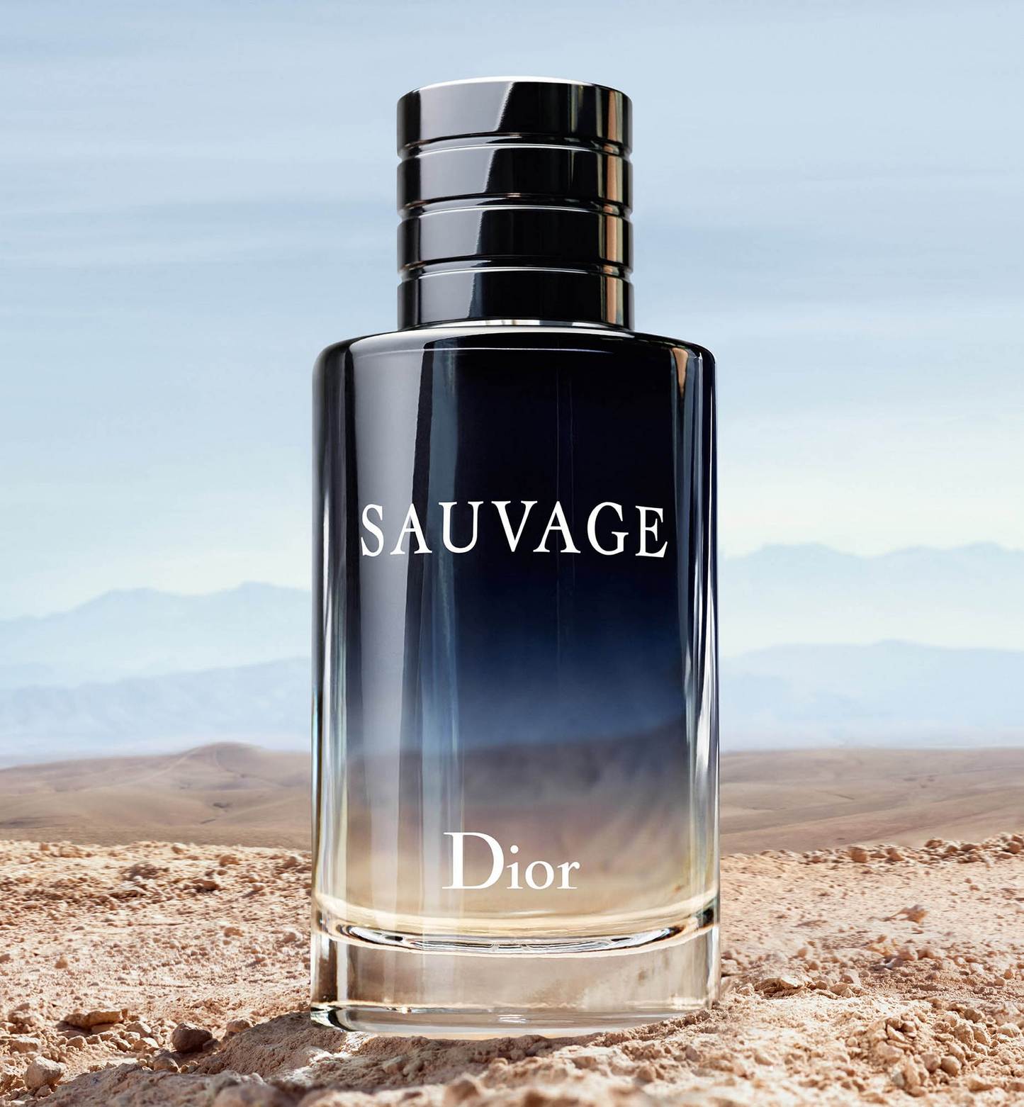 DIOR SAUVAGE EAU DE TOILETTE